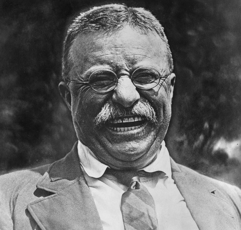 Theodore Roosevelt Pictures To Print