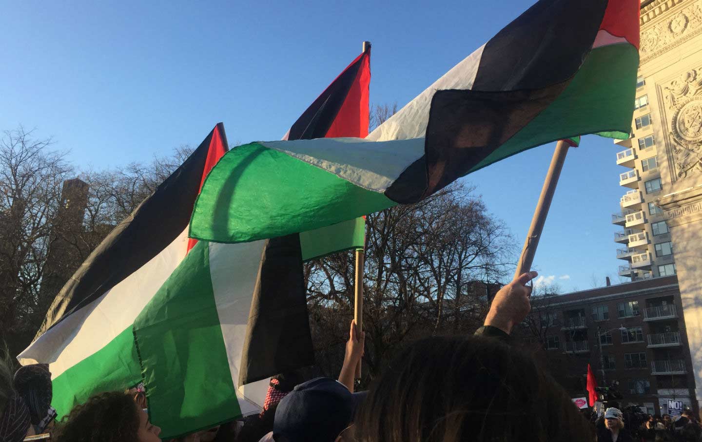 Palestinian Flags March