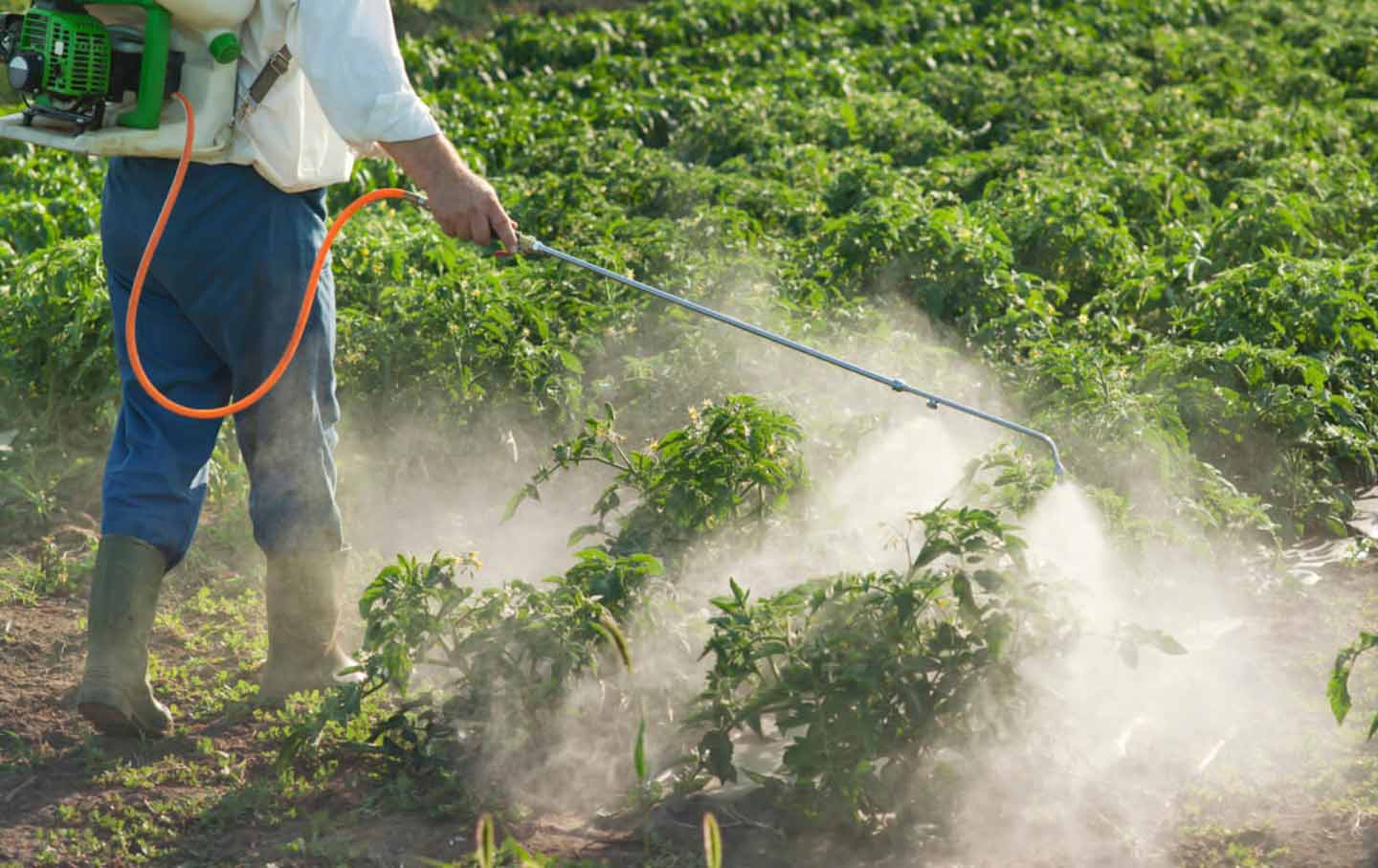 use of pesticides in agriculture