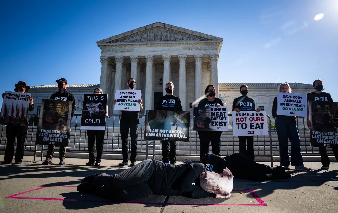 How a Supreme Court Case About Pigs Could Further Undermine