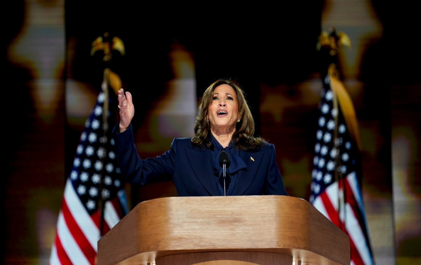 Kamala Harris speaks during the Democratic National Convention in Chicago on August 22, 2024.