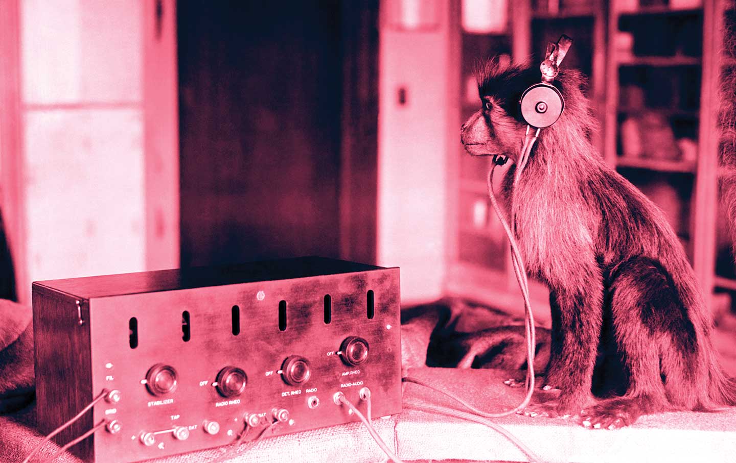 Politics tamfitronics Jock the monkey listens in on the Scopes trial, 1923.