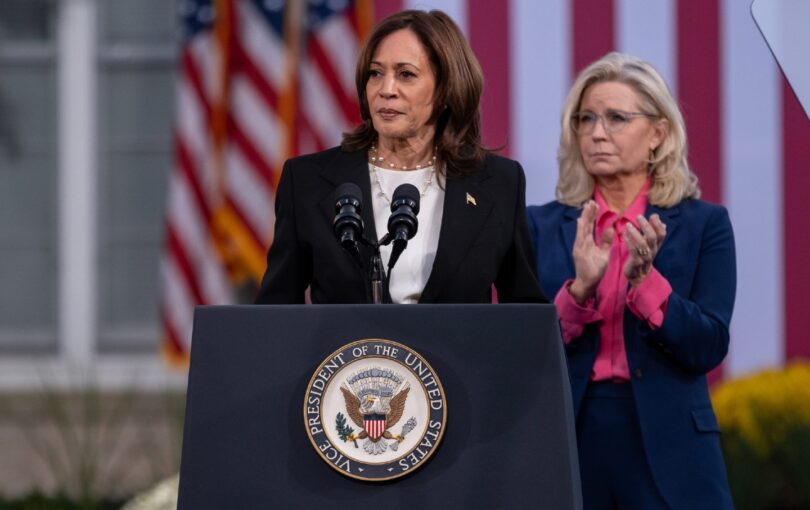 Kamala Harris Is Taking a Big Risk By Playing It Safe The Nation