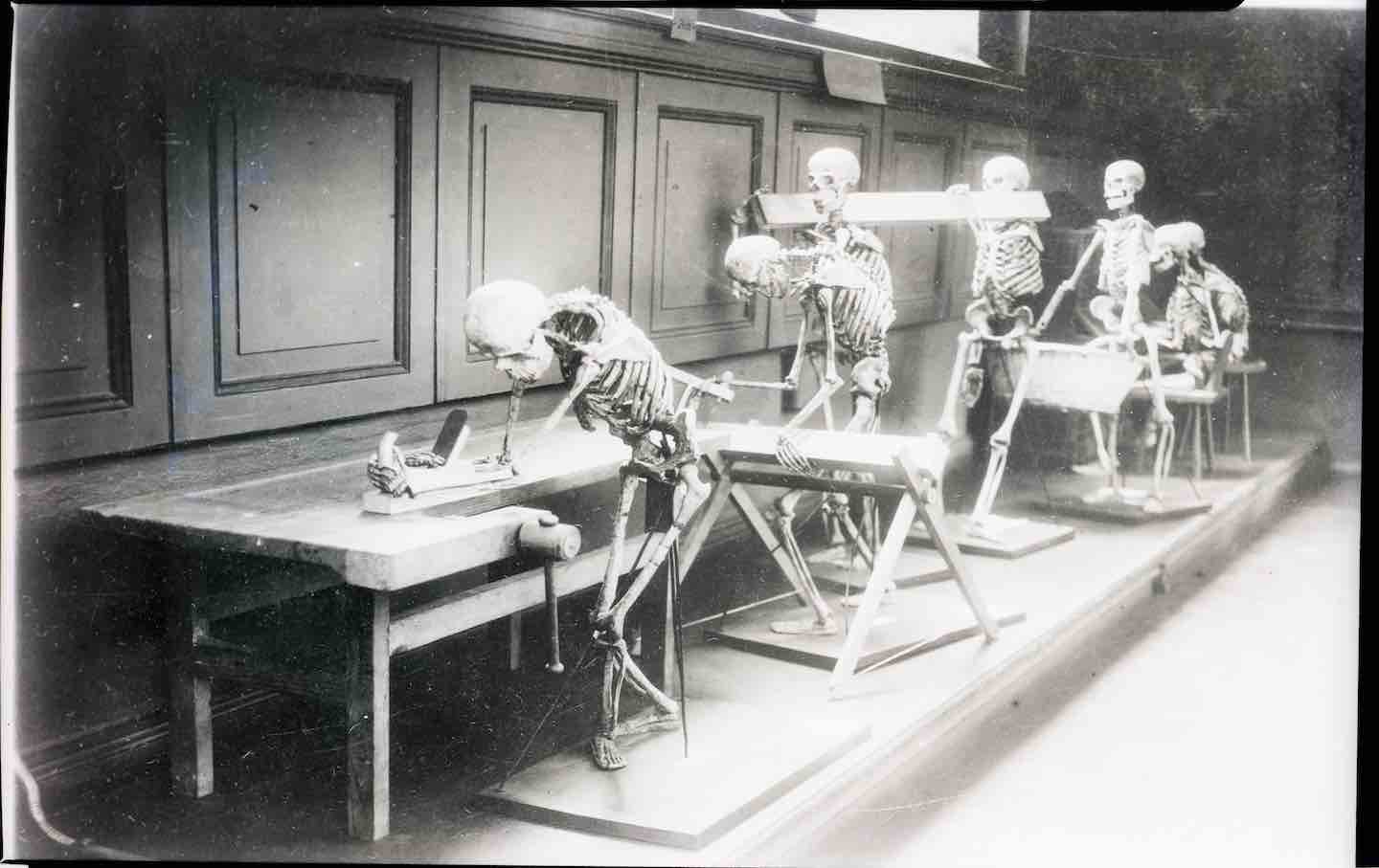 Skeletons used in a museum in Amsterdam. They are posed in various positions for working; sawing wood, doing housework, carrying planks, office work, etc.