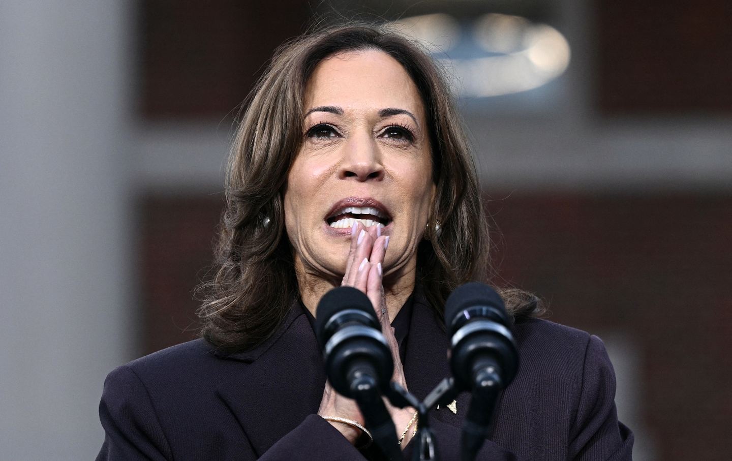 No, They Couldn’t: In a recent appearance on Pod Save America the consultants who steered the Kamala Harris campaign to defeat still refused to accept any responsibility—or to criticize the candidate.