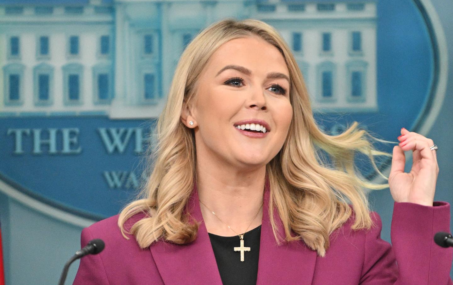 White House Press Secretary Karoline Leavitt speaks during the daily briefing at the White House.