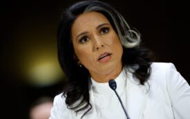 Senate Democrats Are Attacking Tulsi Gabbard for the Wrong Reasons