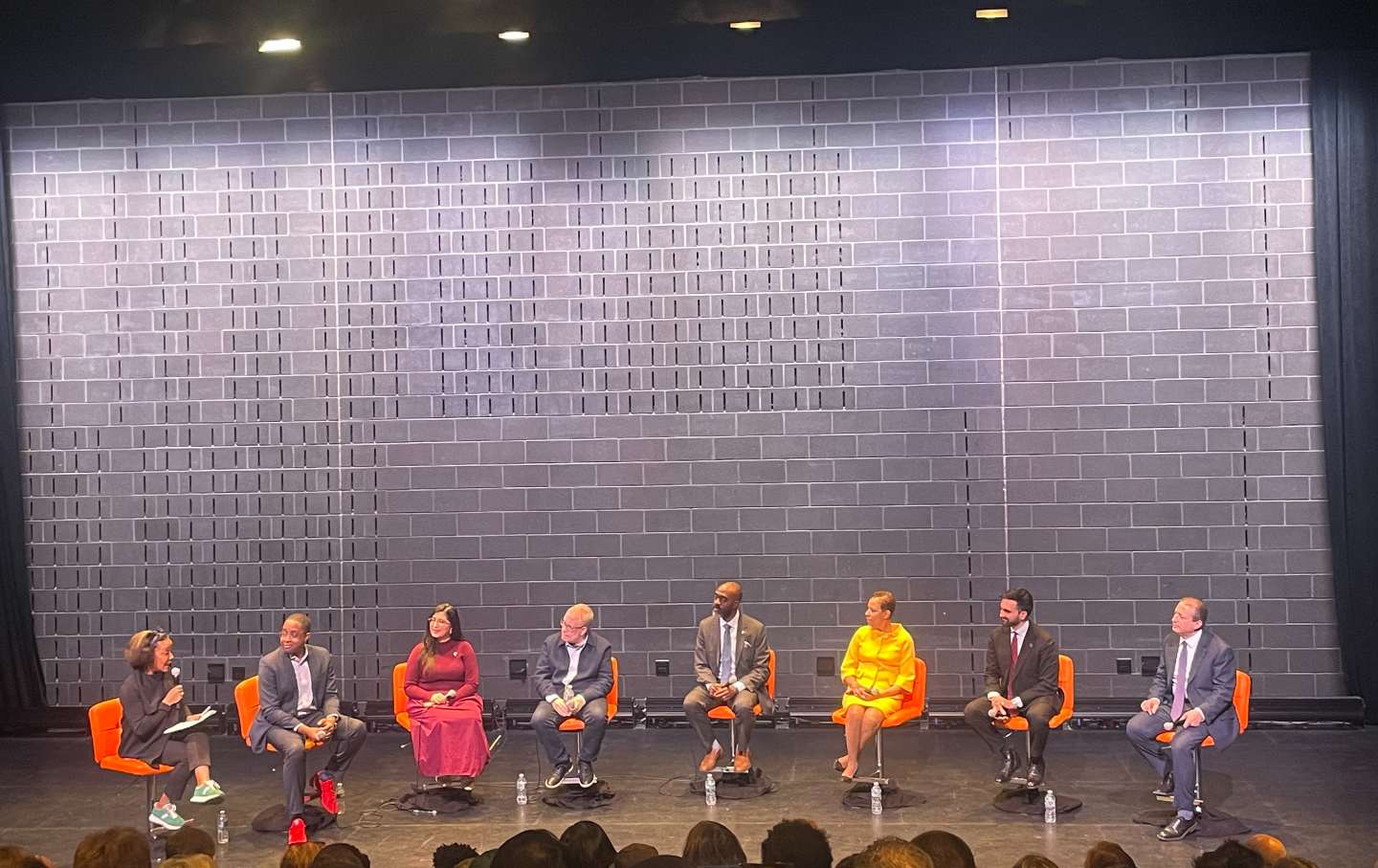 Dr. Christina Greer; City Council Speaker Adrienne Adams; Assemblyman Zohran Mamndani; State Senator Zellnor Myrie; City Comptroller Brad Lander; former city comptroller Scott Stringer; State Senator Jessica Ramos; and former assemblyman Michael Blake.